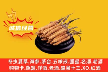 佳木斯回收冬虫夏草